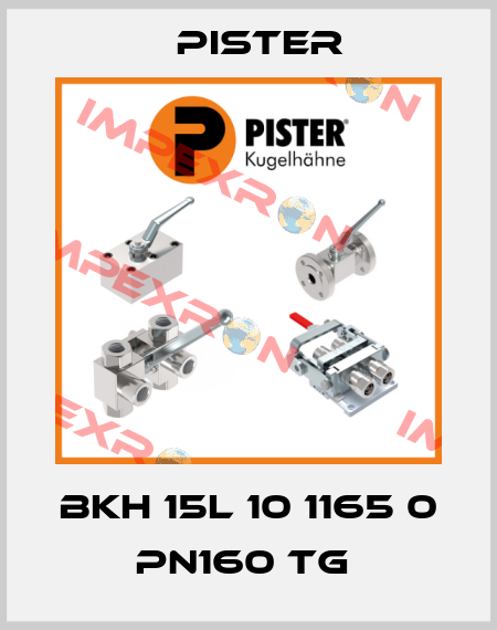 BKH 15L 10 1165 0 PN160 TG  Pister