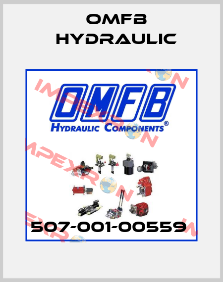 507-001-00559  OMFB Hydraulic