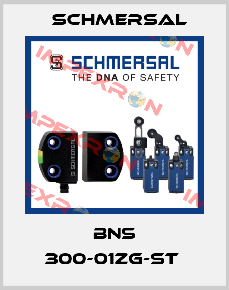 BNS 300-01ZG-ST  Schmersal