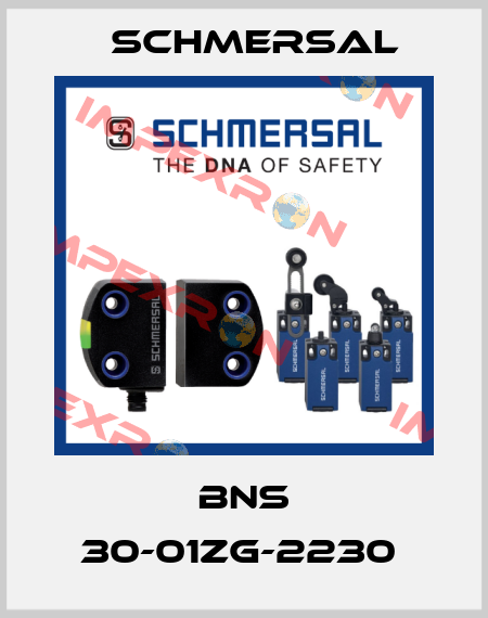 BNS 30-01ZG-2230  Schmersal