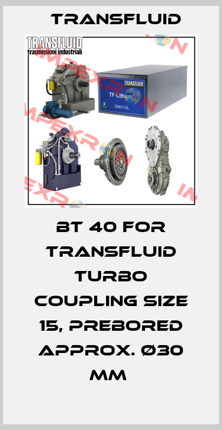 BT 40 FOR TRANSFLUID TURBO COUPLING SIZE 15, PREBORED APPROX. Ø30 MM  Transfluid