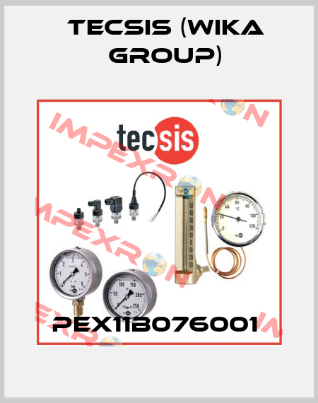 PEX11B076001  Tecsis (WIKA Group)