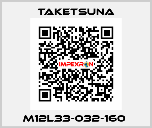 M12L33-032-160  Taketsuna