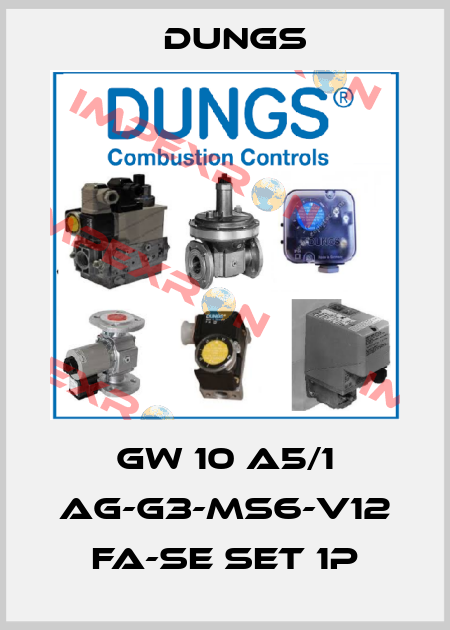 GW 10 A5/1 Ag-G3-MS6-V12 fa-se Set 1P Dungs