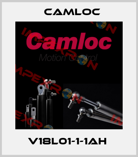 V18L01-1-1AH  Camloc