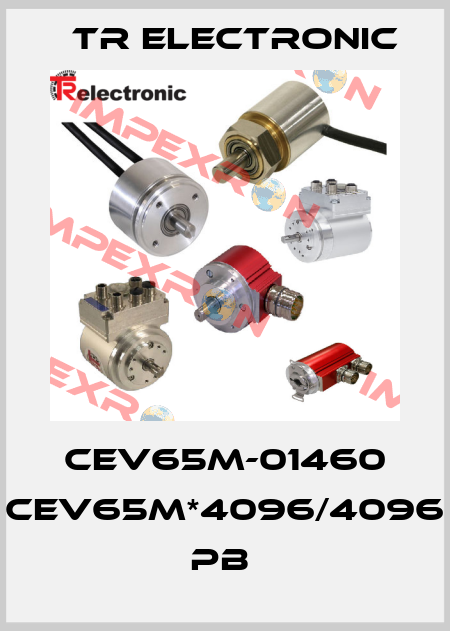 CEV65M-01460 CEV65M*4096/4096 PB  TR Electronic