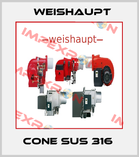 CONE SUS 316  Weishaupt