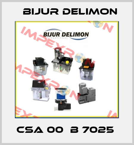 CSA 00  B 7025  Bijur Delimon