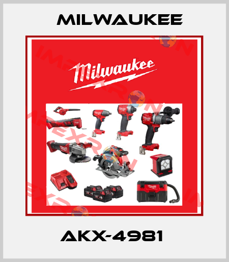AKX-4981  Milwaukee