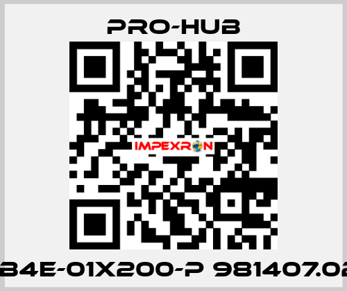 DB4E-01X200-P 981407.02  Pro-Hub