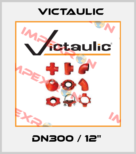 DN300 / 12"  Victaulic