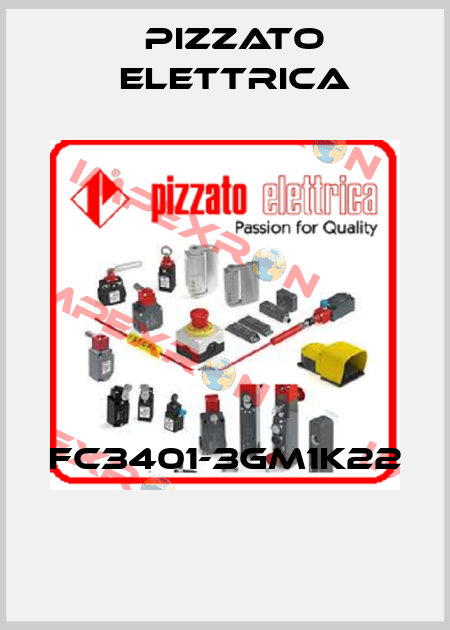 FC3401-3GM1K22  Pizzato Elettrica