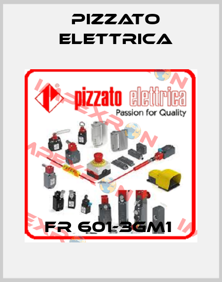 FR 601-3GM1  Pizzato Elettrica