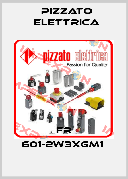 FR 601-2W3XGM1  Pizzato Elettrica