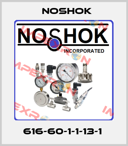 616-60-1-1-13-1  Noshok