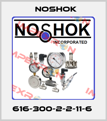 616-300-2-2-11-6  Noshok