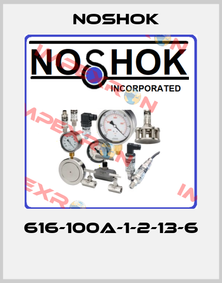 616-100A-1-2-13-6  Noshok