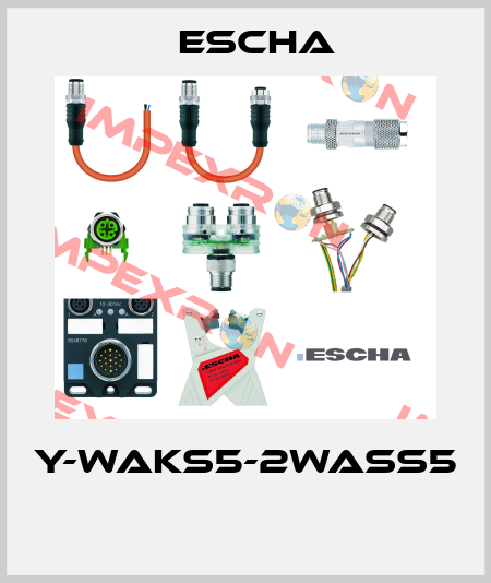 Y-WAKS5-2WASS5  Escha