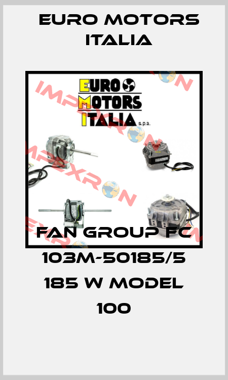 FAN GROUP FC 103M-50185/5 185 W MODEL 100 Euro Motors Italia