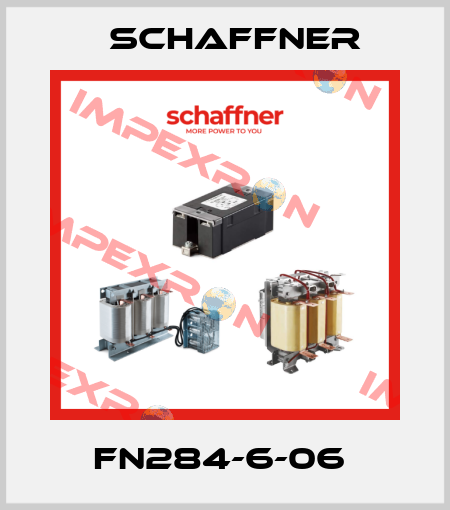 FN284-6-06  Schaffner