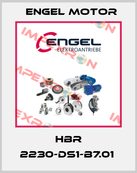 HBR 2230-DS1-B7.01  Engel Motor
