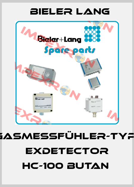 Gasmeßfühler-Typ: ExDetector HC-100 Butan  Bieler Lang