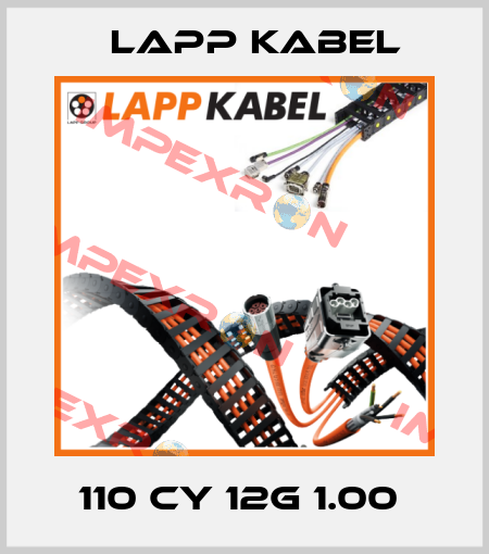 110 CY 12G 1.00  Lapp Kabel