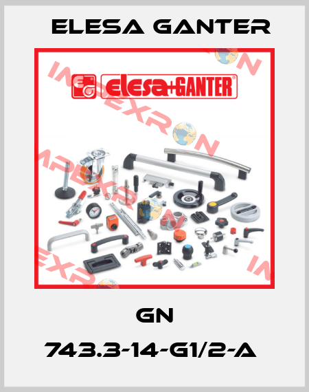 GN 743.3-14-G1/2-A  Elesa Ganter