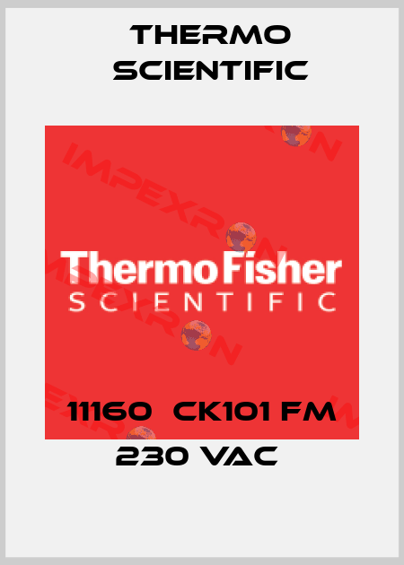 11160  CK101 FM 230 VAC  Thermo Scientific