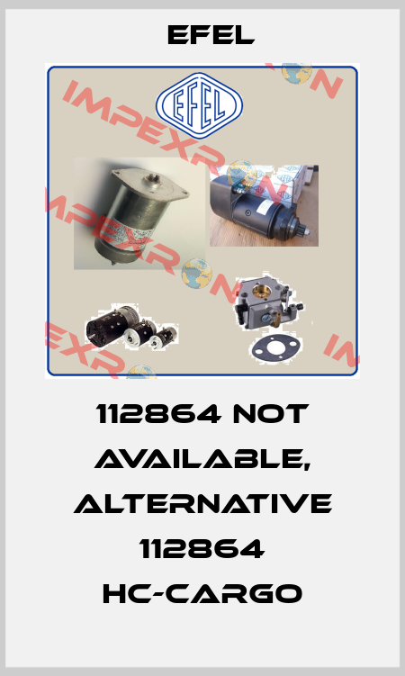 112864 not available, alternative 112864 HC-CARGO Efel