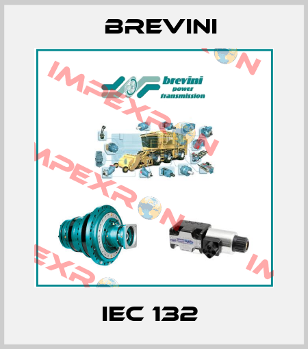 IEC 132  Brevini