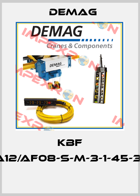 KBF 100A12/AF08-S-M-3-1-45-3/142  Demag