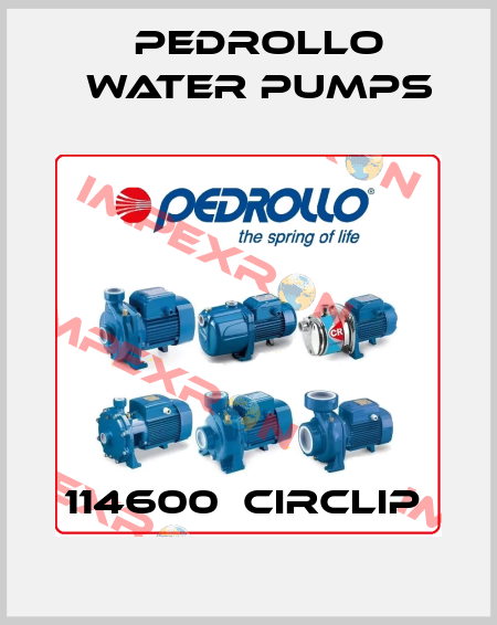 114600  CIRCLIP  Pedrollo Water Pumps