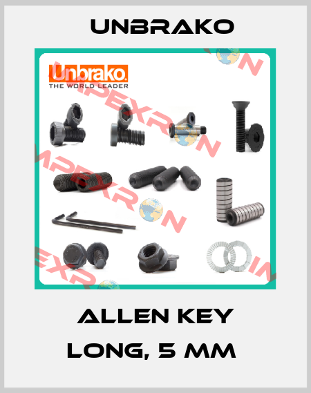 Allen Key long, 5 mm  Unbrako