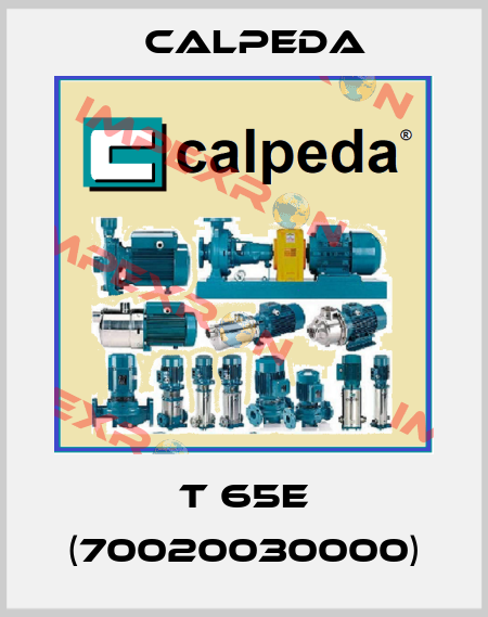 T 65E (70020030000) Calpeda