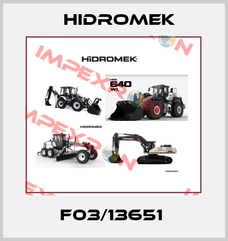 F03/13651  Hidromek