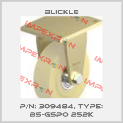 P/N: 309484, Type: BS-GSPO 252K Blickle