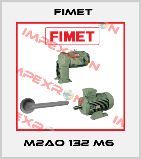 M2AO 132 M6  Fimet