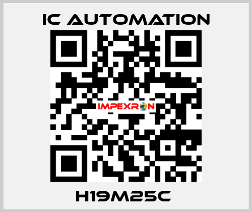 H19M25C  ic automation