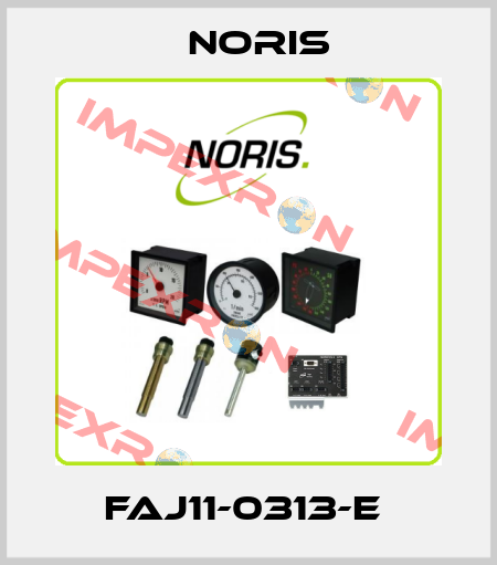 FAJ11-0313-E  Noris