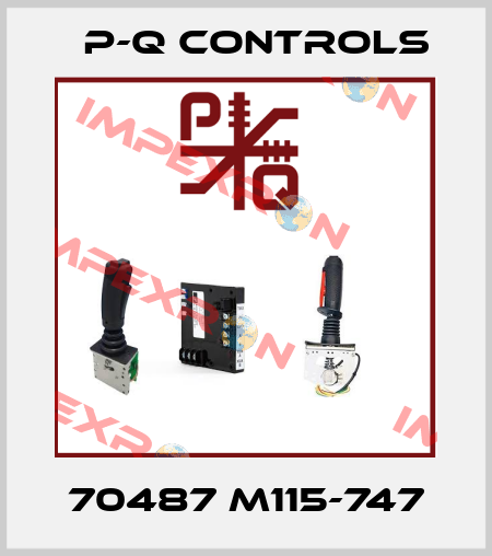 70487 M115-747 P-Q Controls