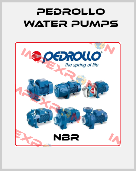 NBR  Pedrollo Water Pumps