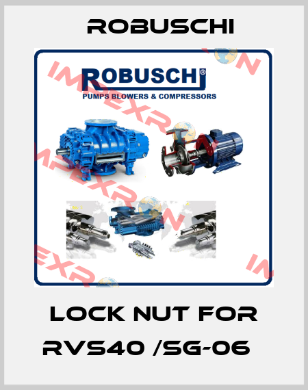 Lock nut for RVS40 /SG-06   Robuschi