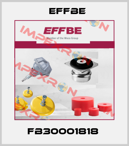 FB30001818  Effbe