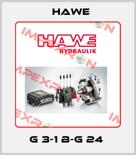 G 3-1 B-G 24  Hawe