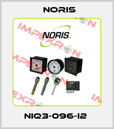 NIQ3-096-I2  Noris