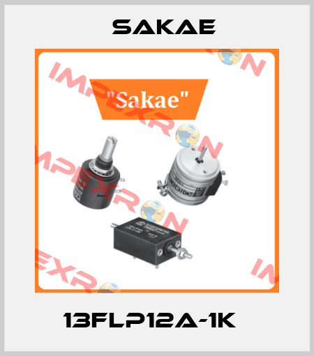 13FLP12A-1KΩ Sakae