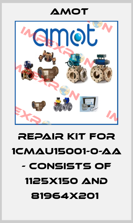 Repair kit for 1CMAU15001-0-AA - consists of 1125X150 and 81964X201  Amot