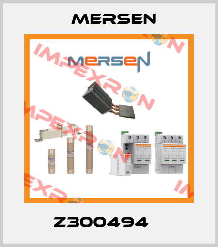 Z300494    Mersen
