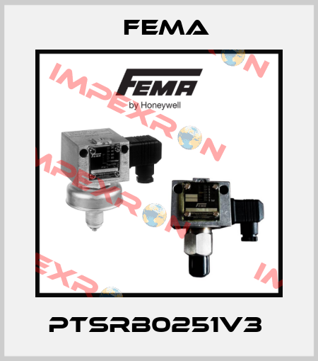 PTSRB0251V3  FEMA